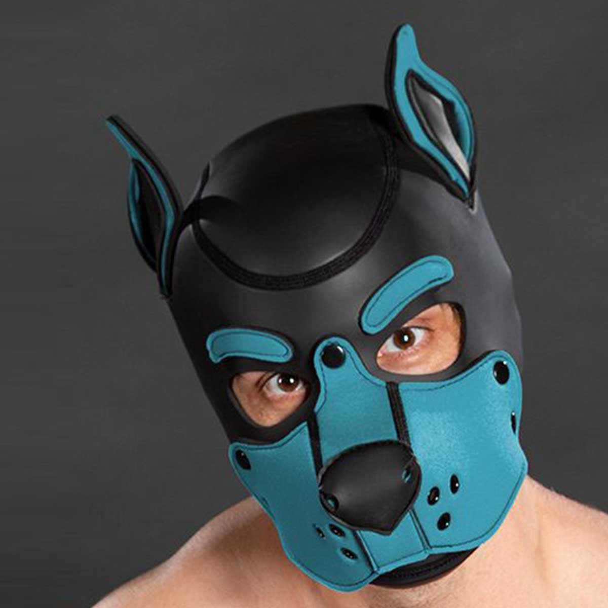 Mr S Leather Neoprene K9 Puppy Hood Black Aqua