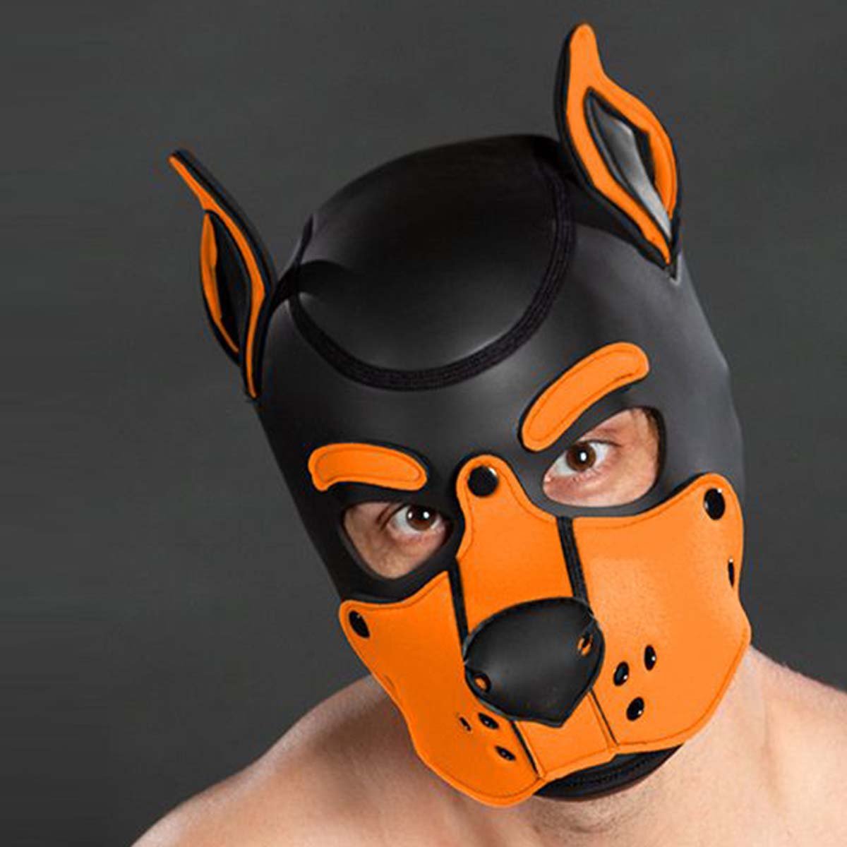 Mr S Leather Neoprene K9 Puppy Hood Black Orange