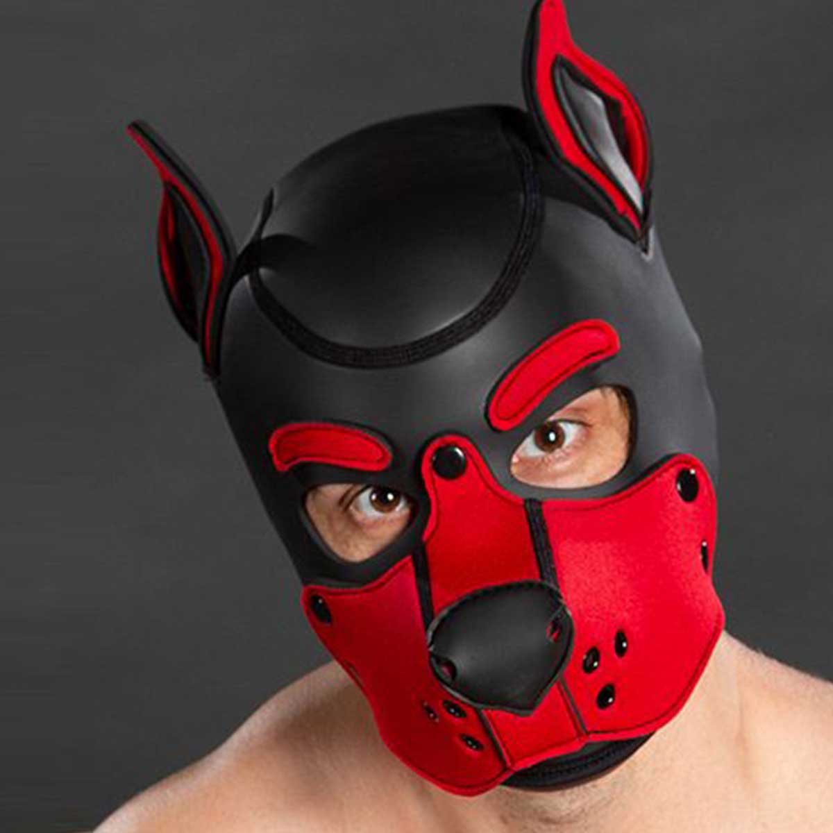 Mr S Leather Neoprene K9 Puppy Hood Black Red