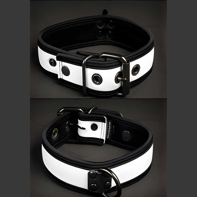 Mr S Leather Neoprene Puppy Collar White Black