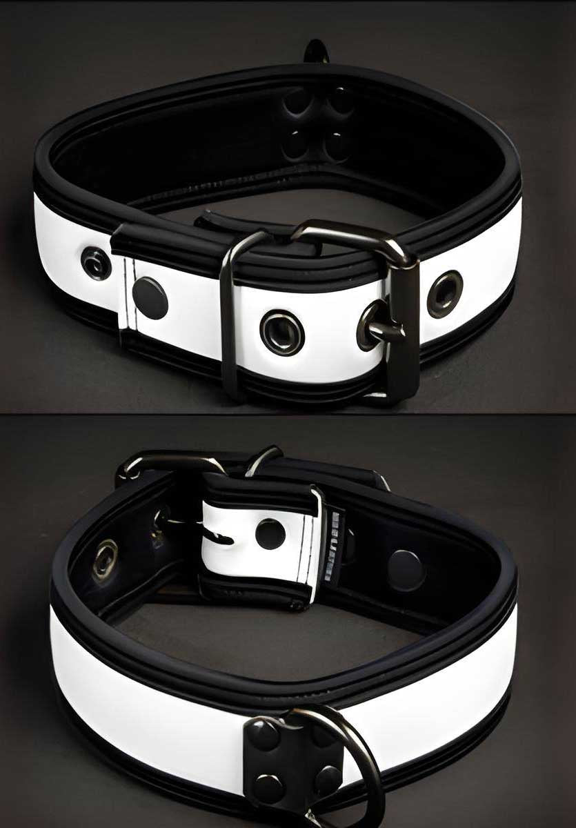 Mr S Leather Neoprene Puppy Collar White Black