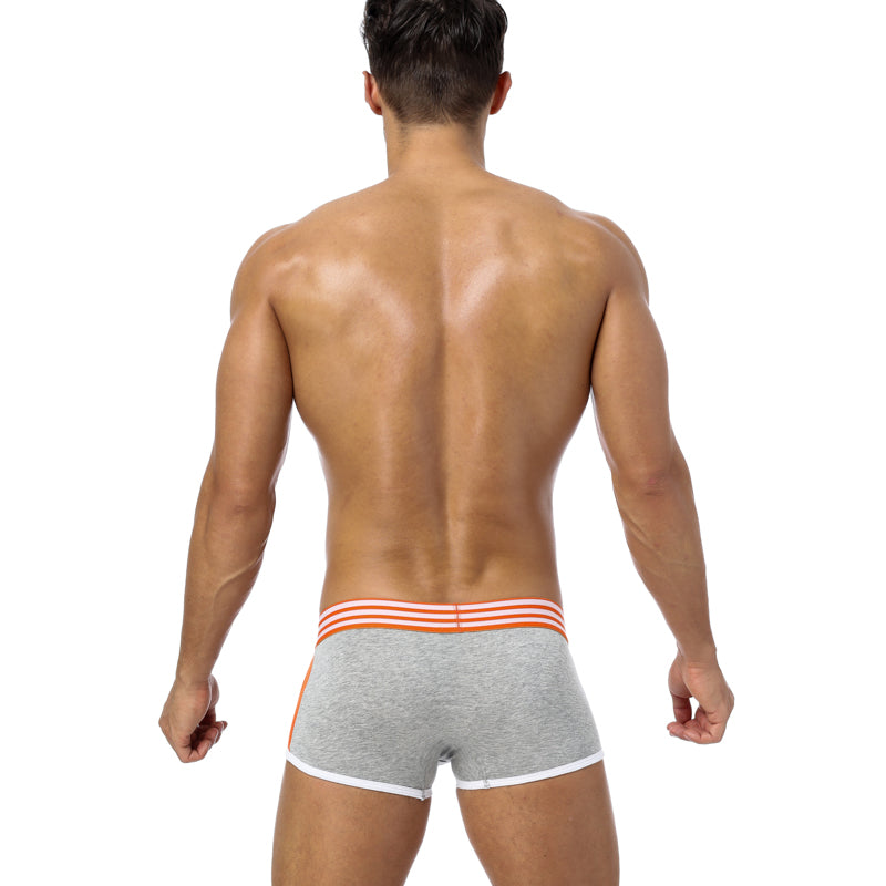 0850 Boxer Tbilisi Grey