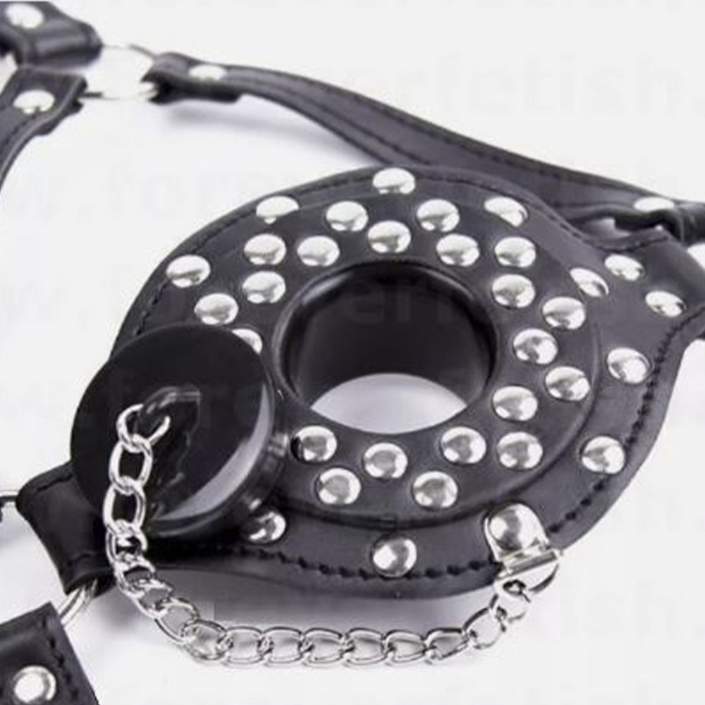 BASIXXX Gutter Head Harness