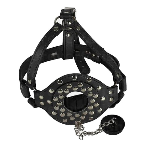 BASIXXX Gutter Head Harness