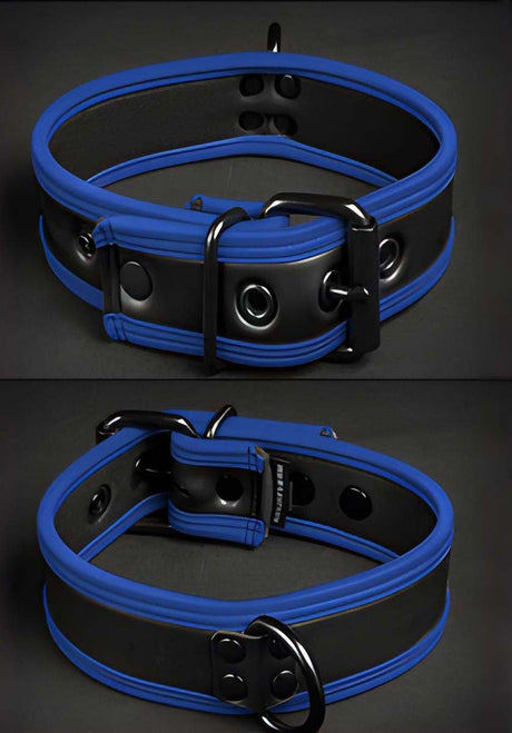 Mr S Leather Neoprene Puppy Collar Black Blue
