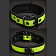 Mr S Leather Neoprene Puppy Collar Lime Black
