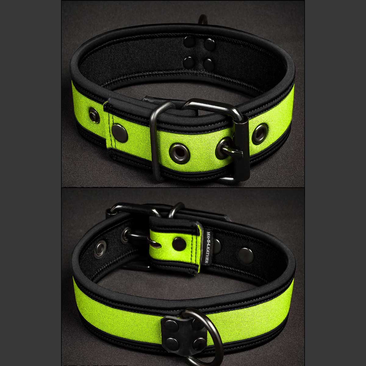 Mr S Leather Neoprene Puppy Collar Lime Black
