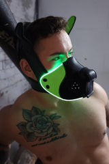 Breedwell Poundtown Pup Mask 2.0 Neon Green