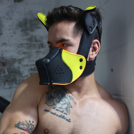 Breedwell Poundtown Pup Mask 2.0 Yellow