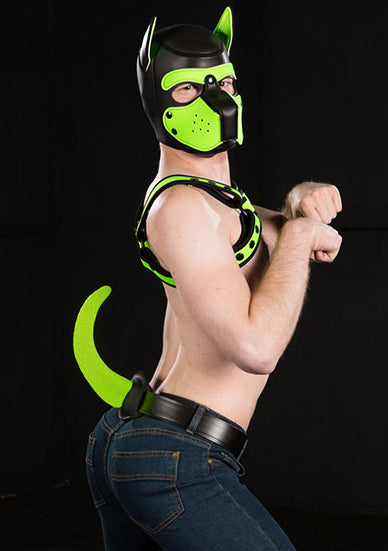 Square Peg Woofy Show Tail Puppy Lime