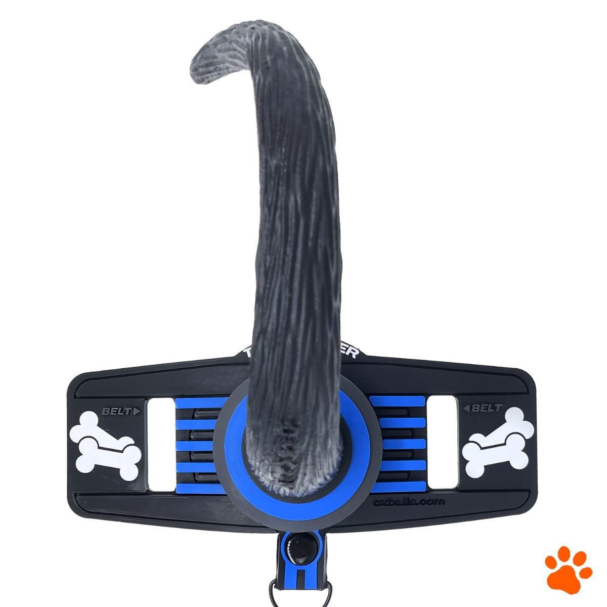 Oxballs TAIL HANDLER Belt Strap Show Tail Blue